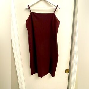 Express Burgundy Dress